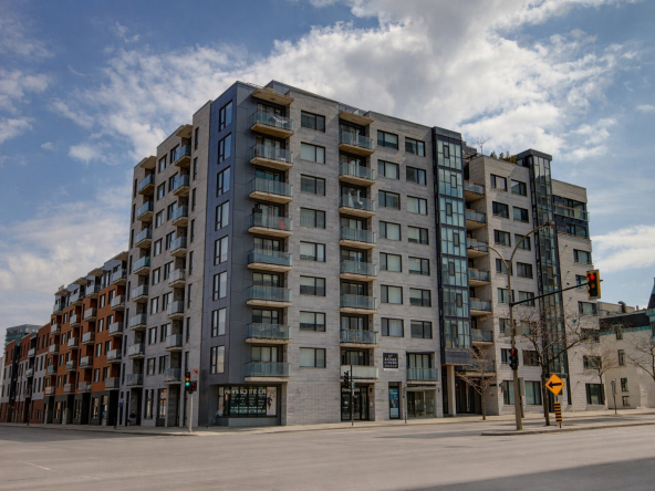 img 14293631 1